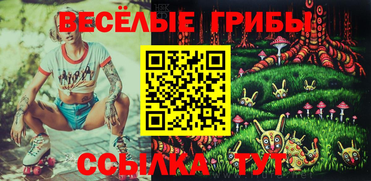 Галлюциногенные грибы GOLDEN TEACHER  Вход с VPN  Псилоцибиновые грибы мицелий  Вольск 